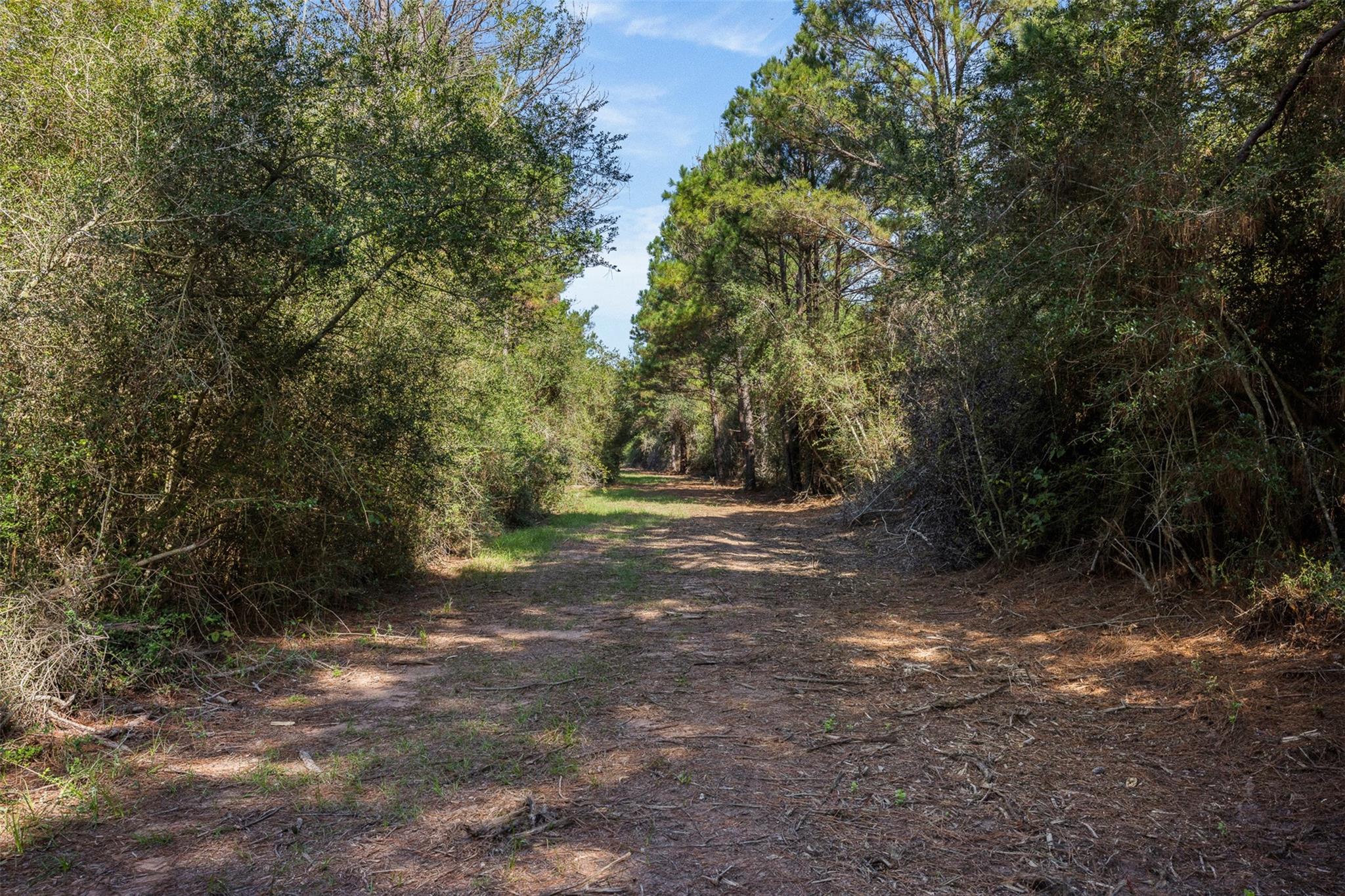 8189 Milton Road