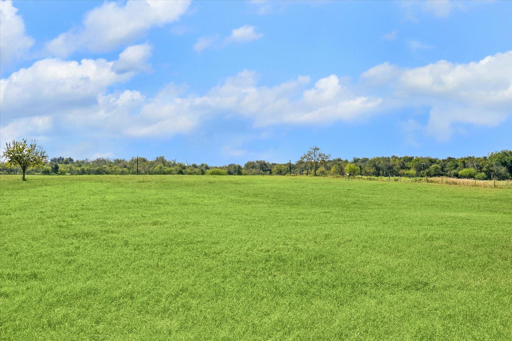 000 Off Mustang Road