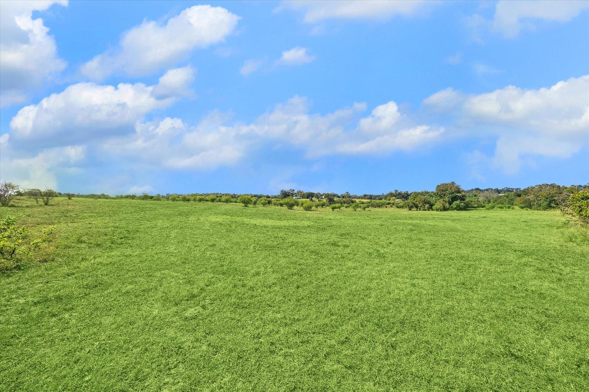 000 Off Mustang Road