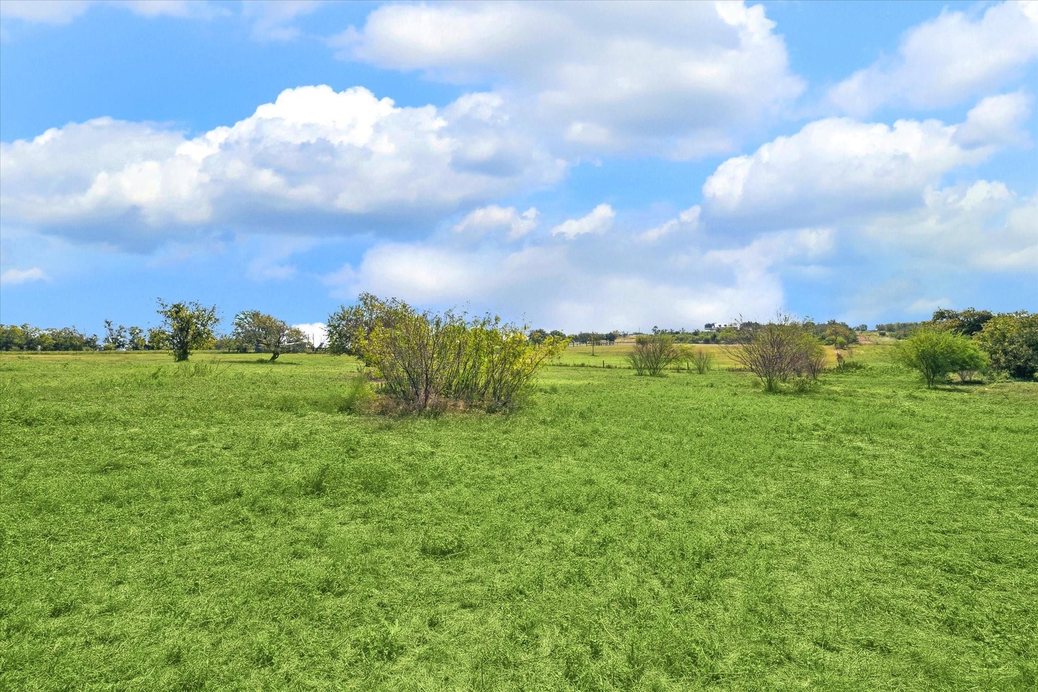 000 Off Mustang Road