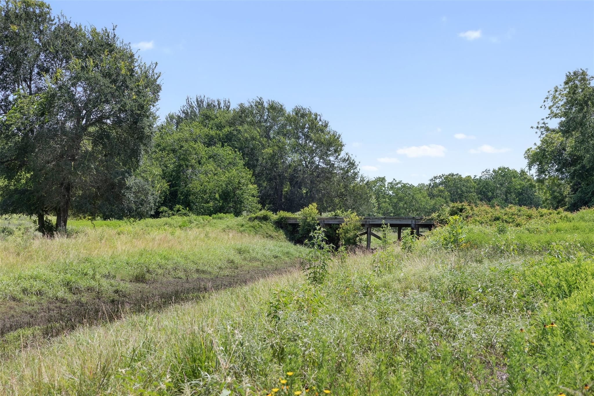 6541 Eagle Nest Acres Drive