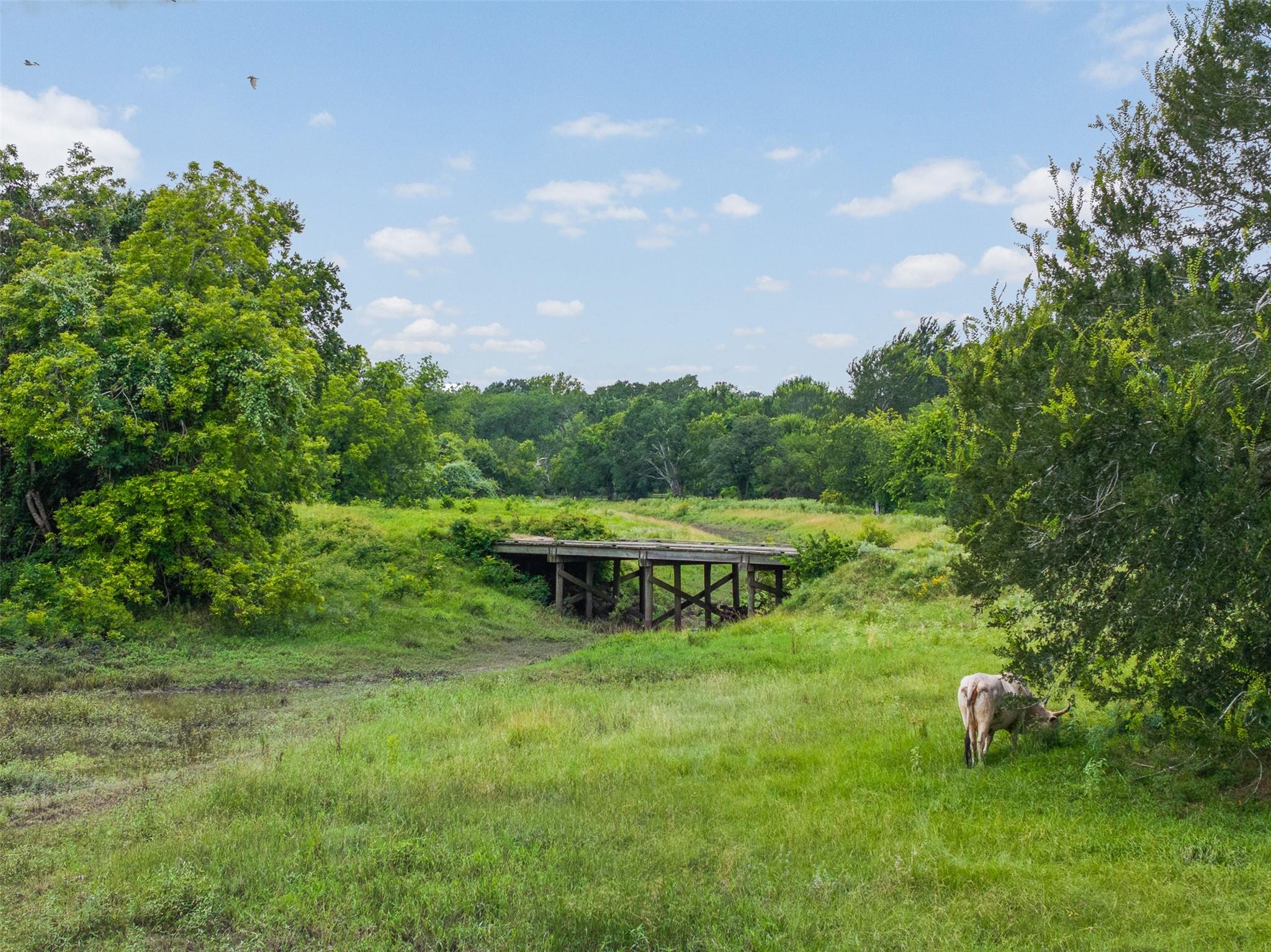 6541 Eagle Nest Acres Drive