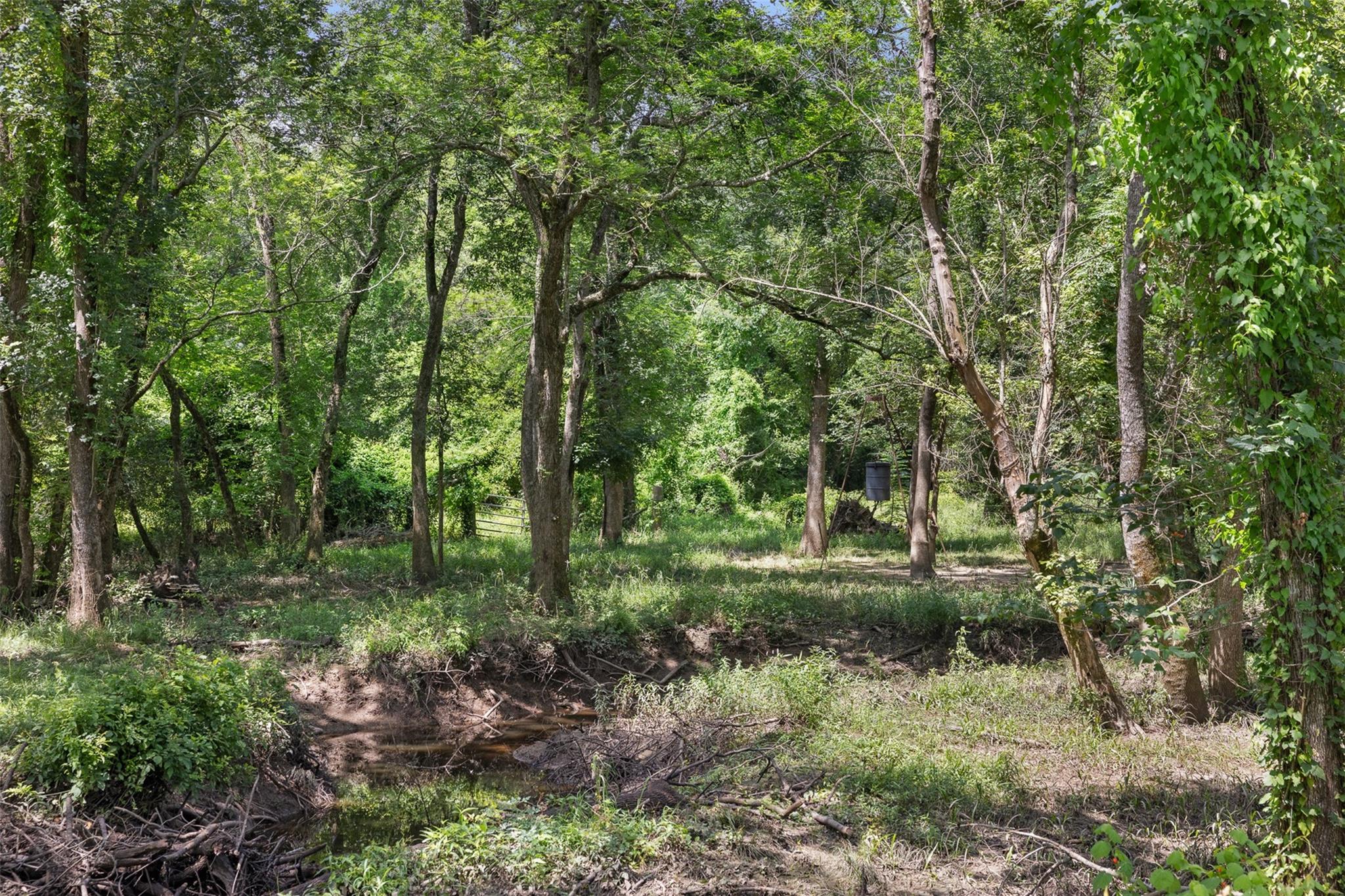 6541 Eagle Nest Acres Drive