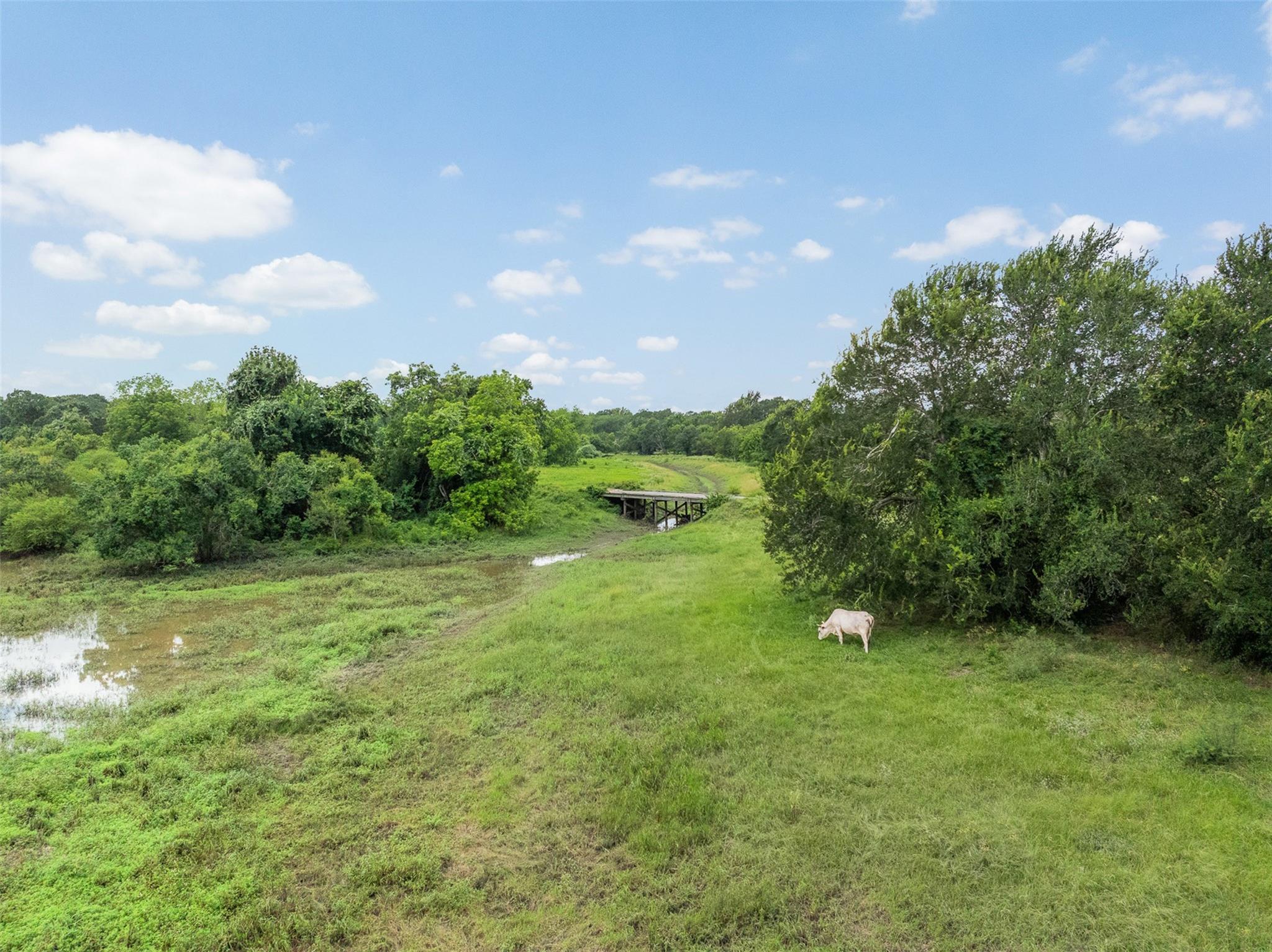 6541 Eagle Nest Acres Drive