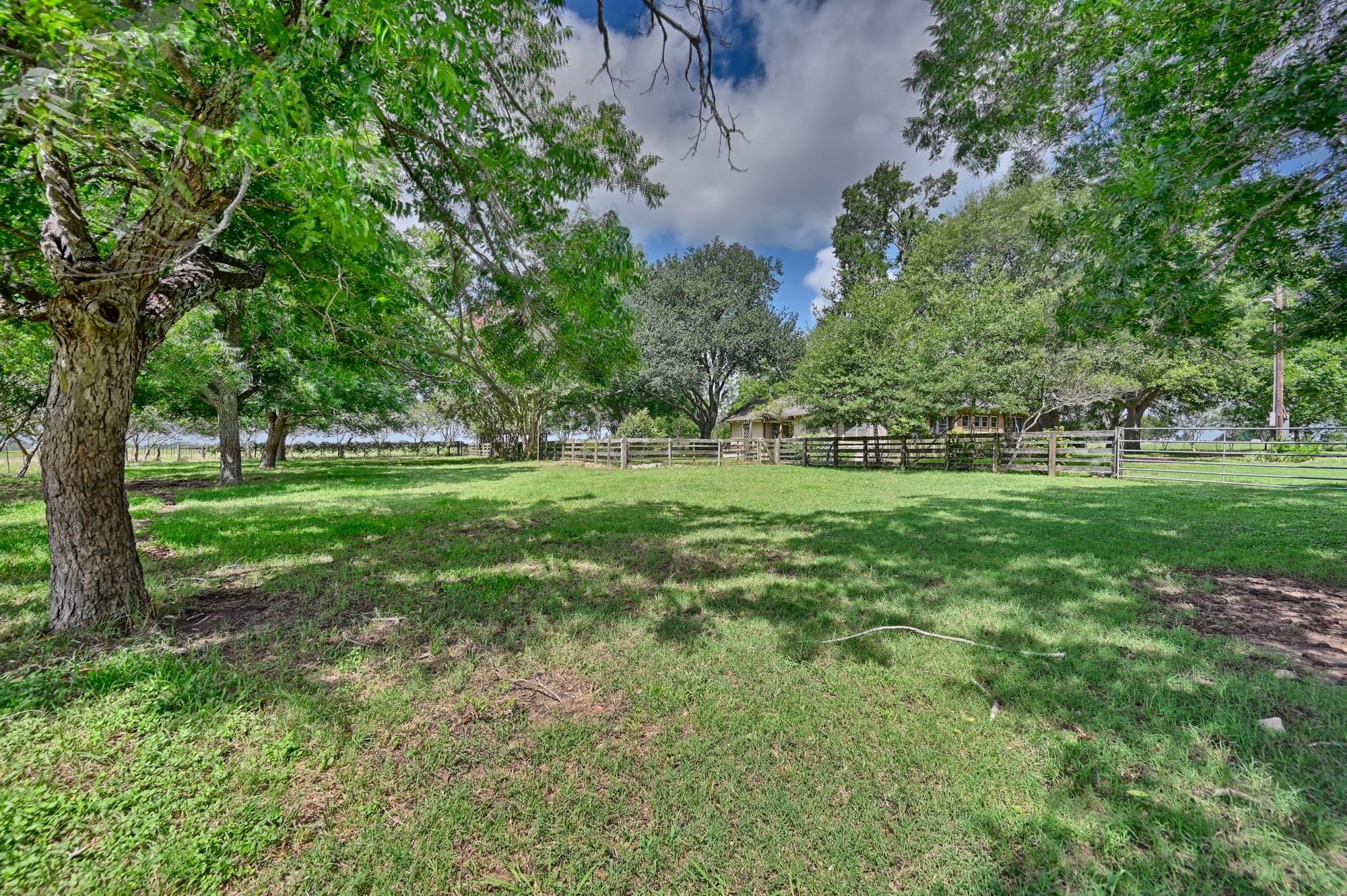 3348 W Ueckert
