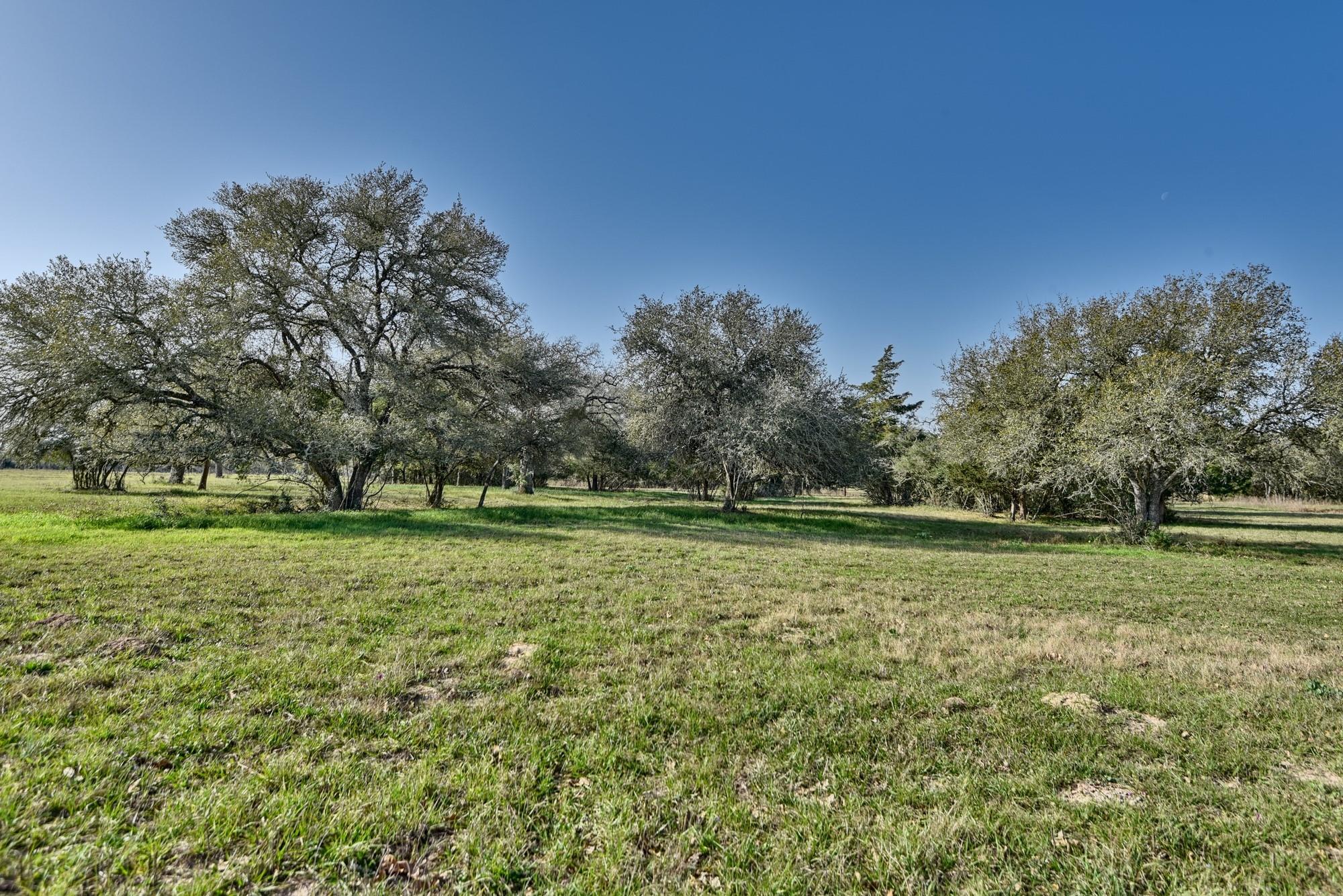 225 Private Road 4007