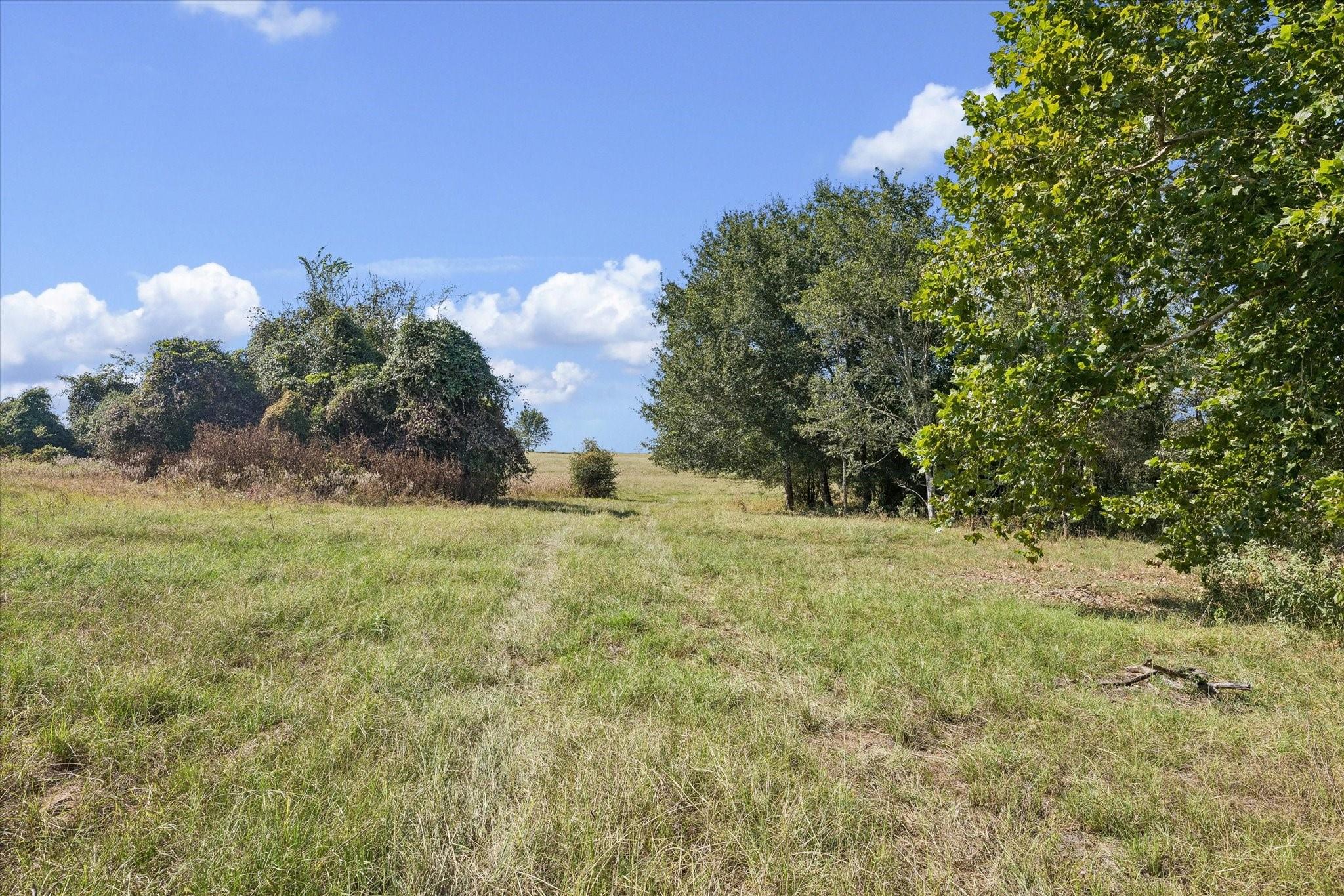 000 Ripple Lane