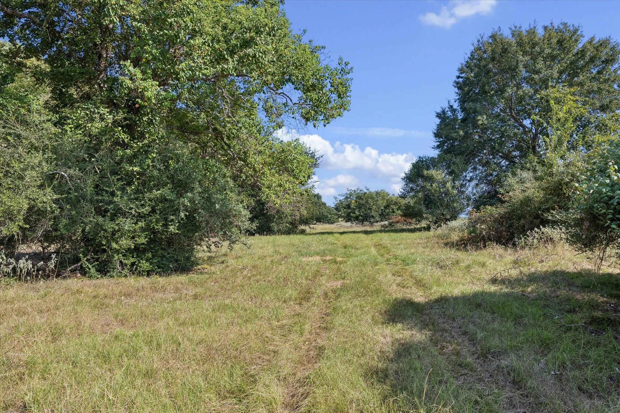 000 Ripple Lane