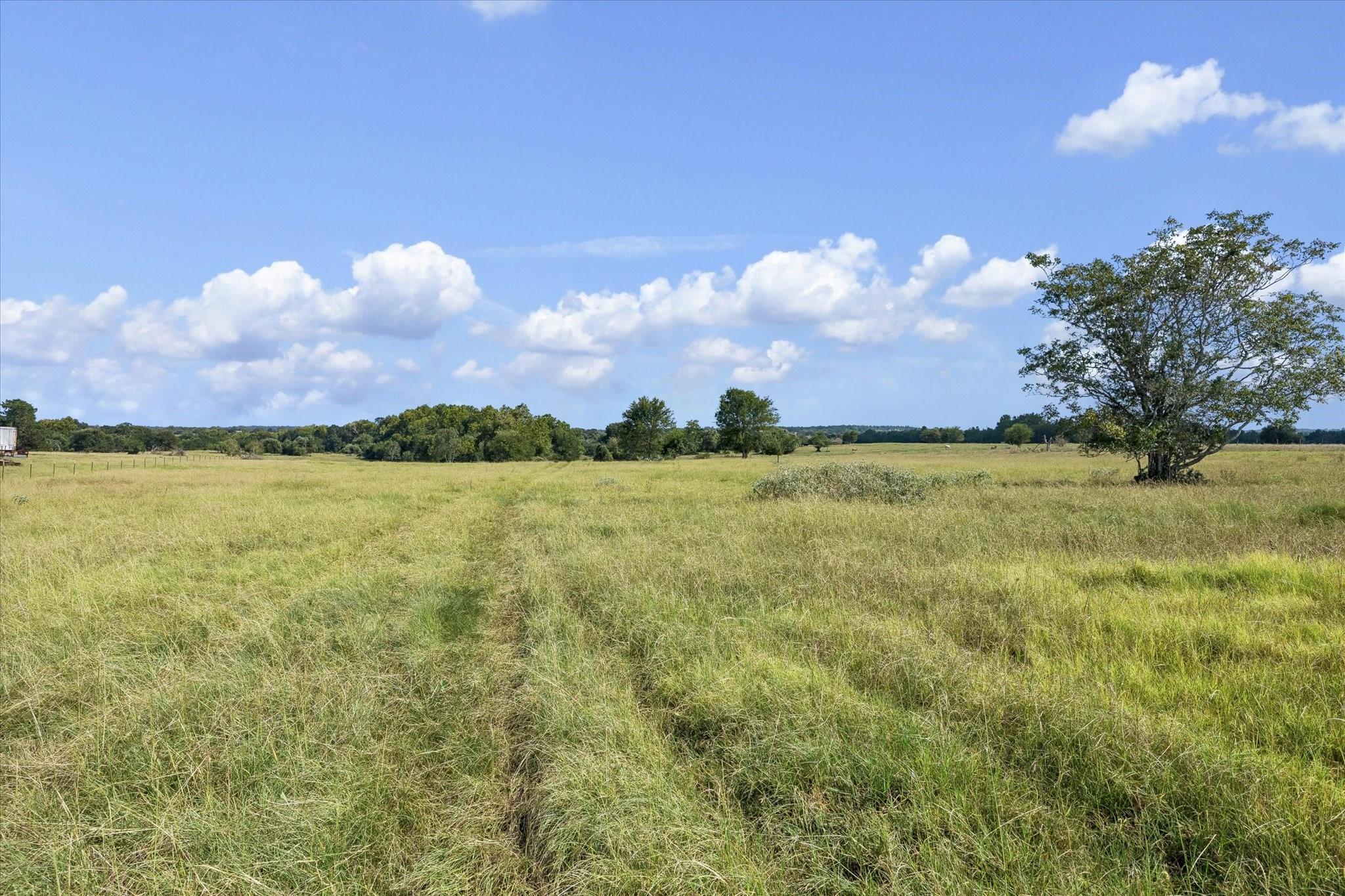000 Ripple Lane