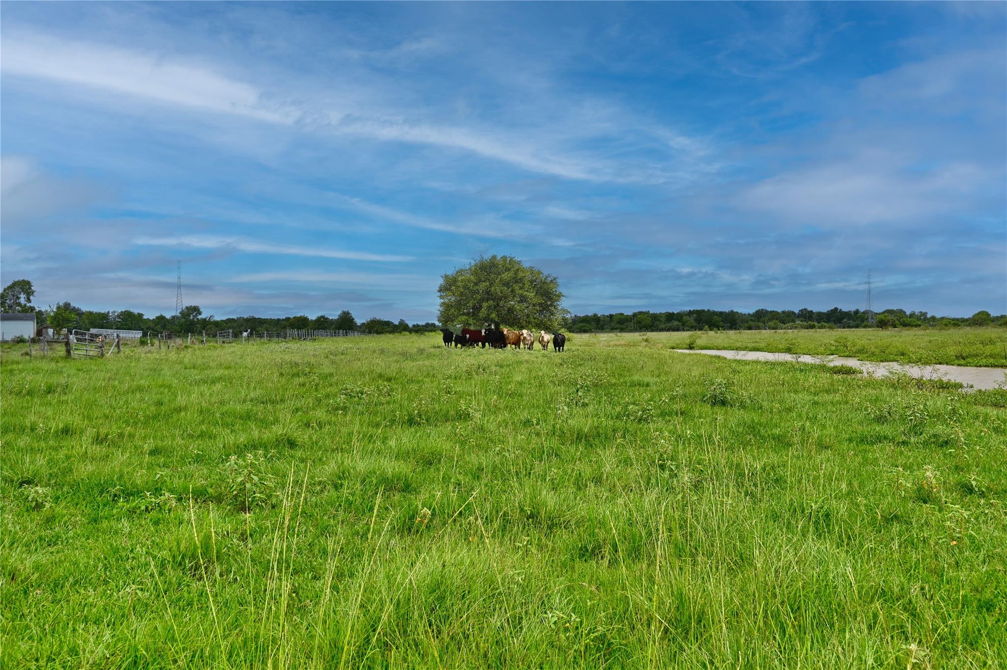 00 Lisa Mae Road