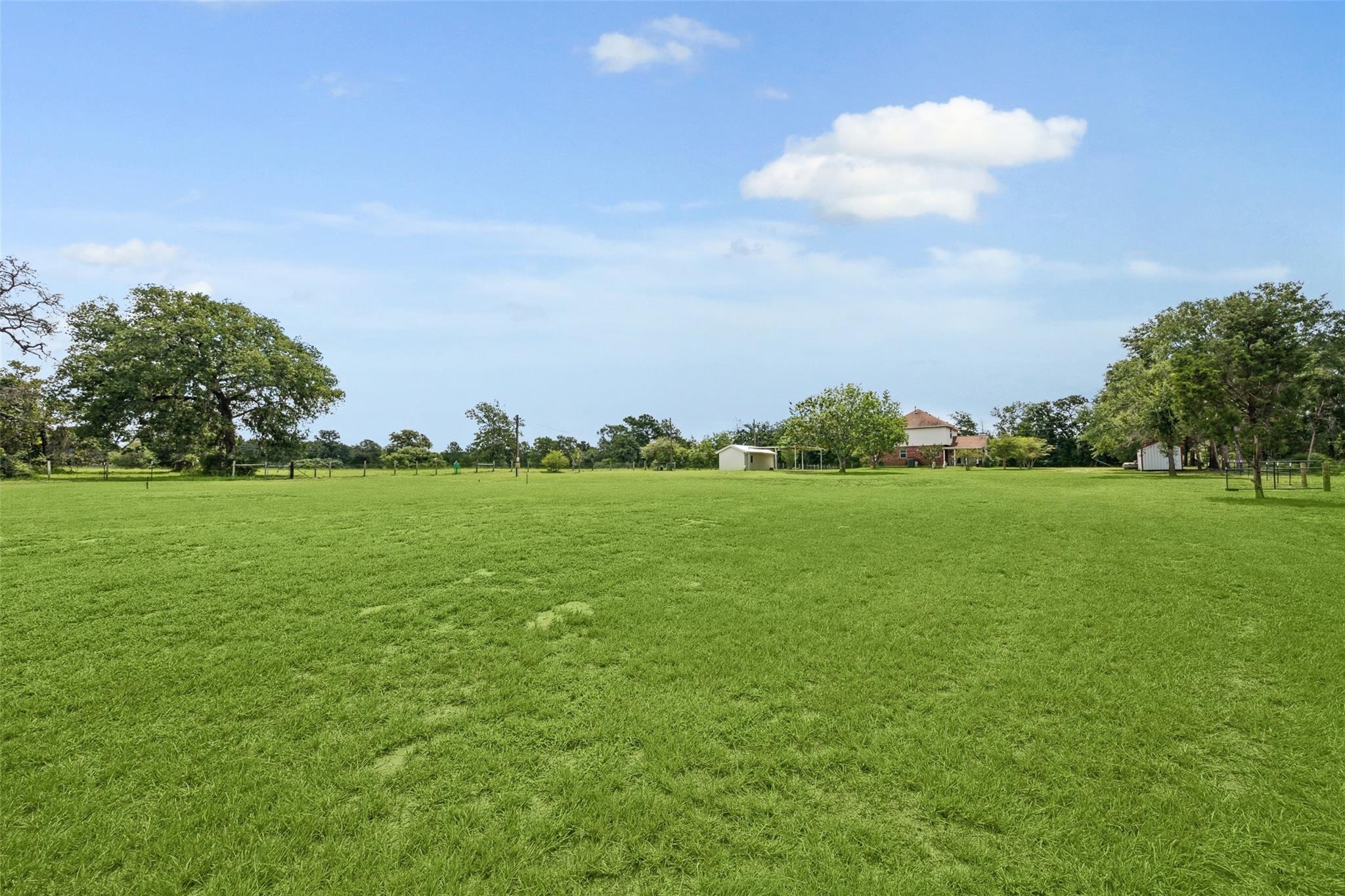 Expansive green lawn with mature trees, fencing, and a house and outbuildings in the distance.