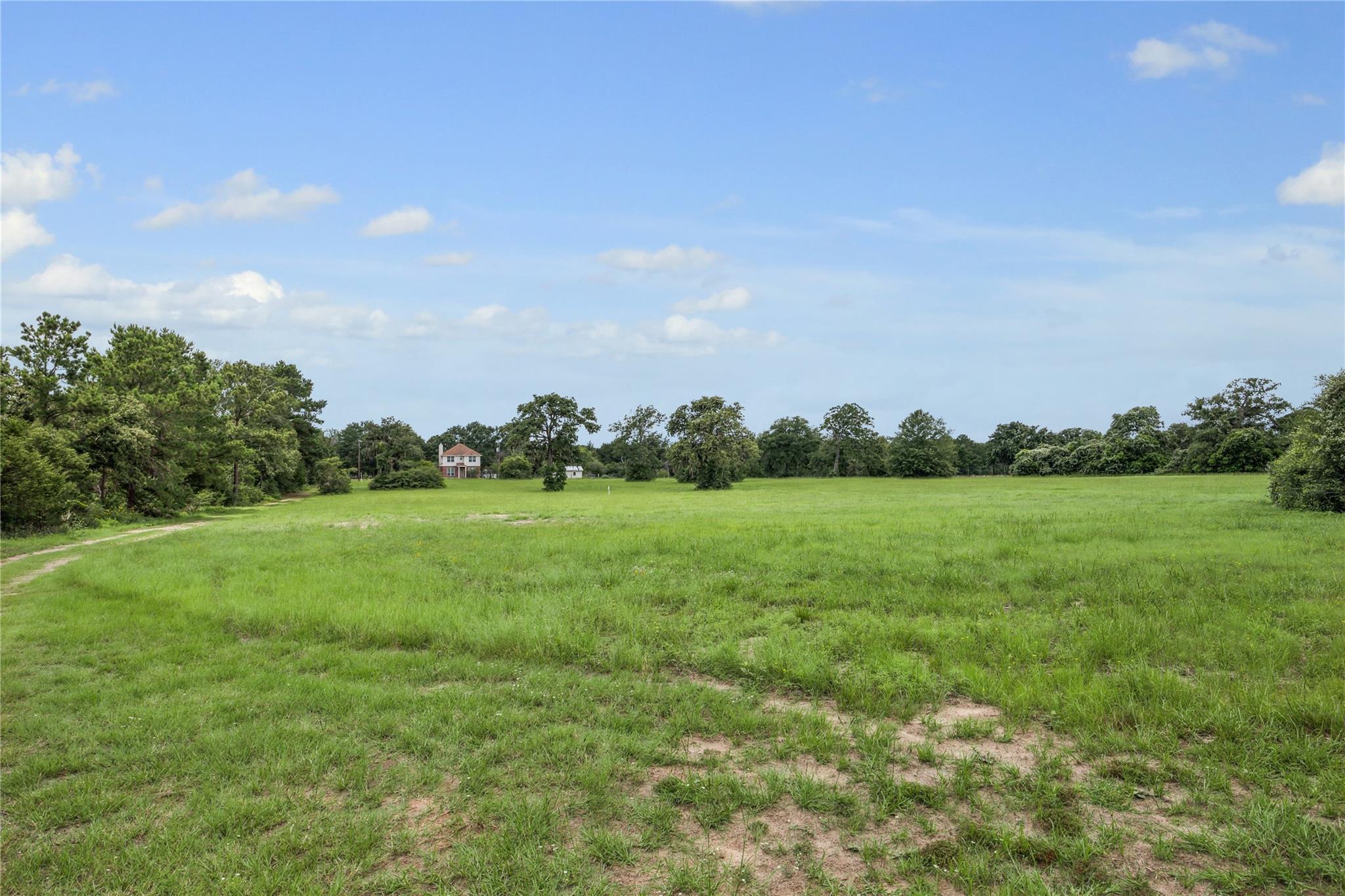 Grassy acreage with a curving dirt track, mature trees, and a distant two-story house.