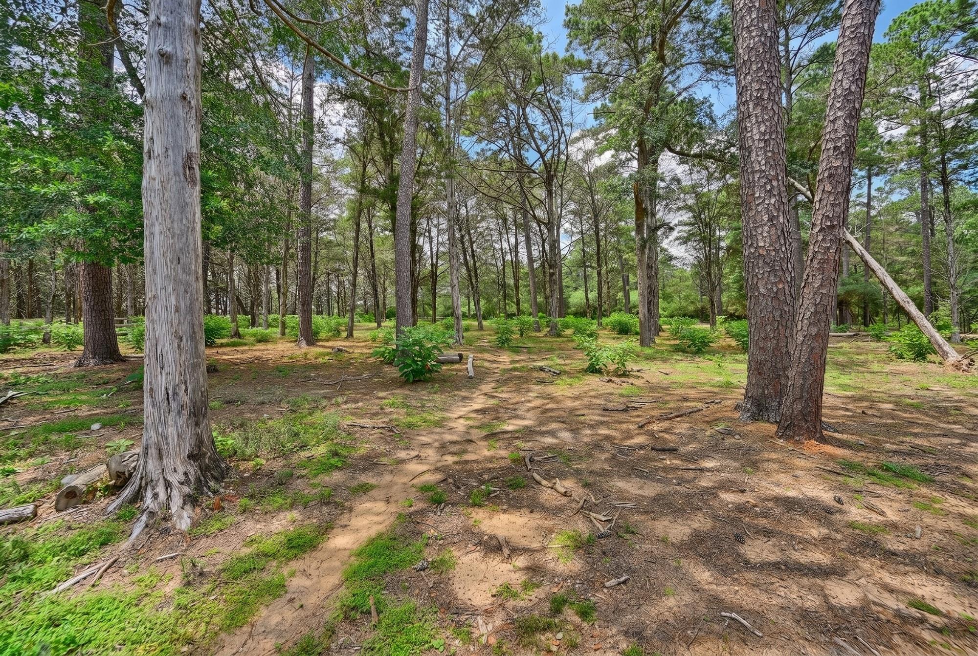 1182 Oak Crest Drive