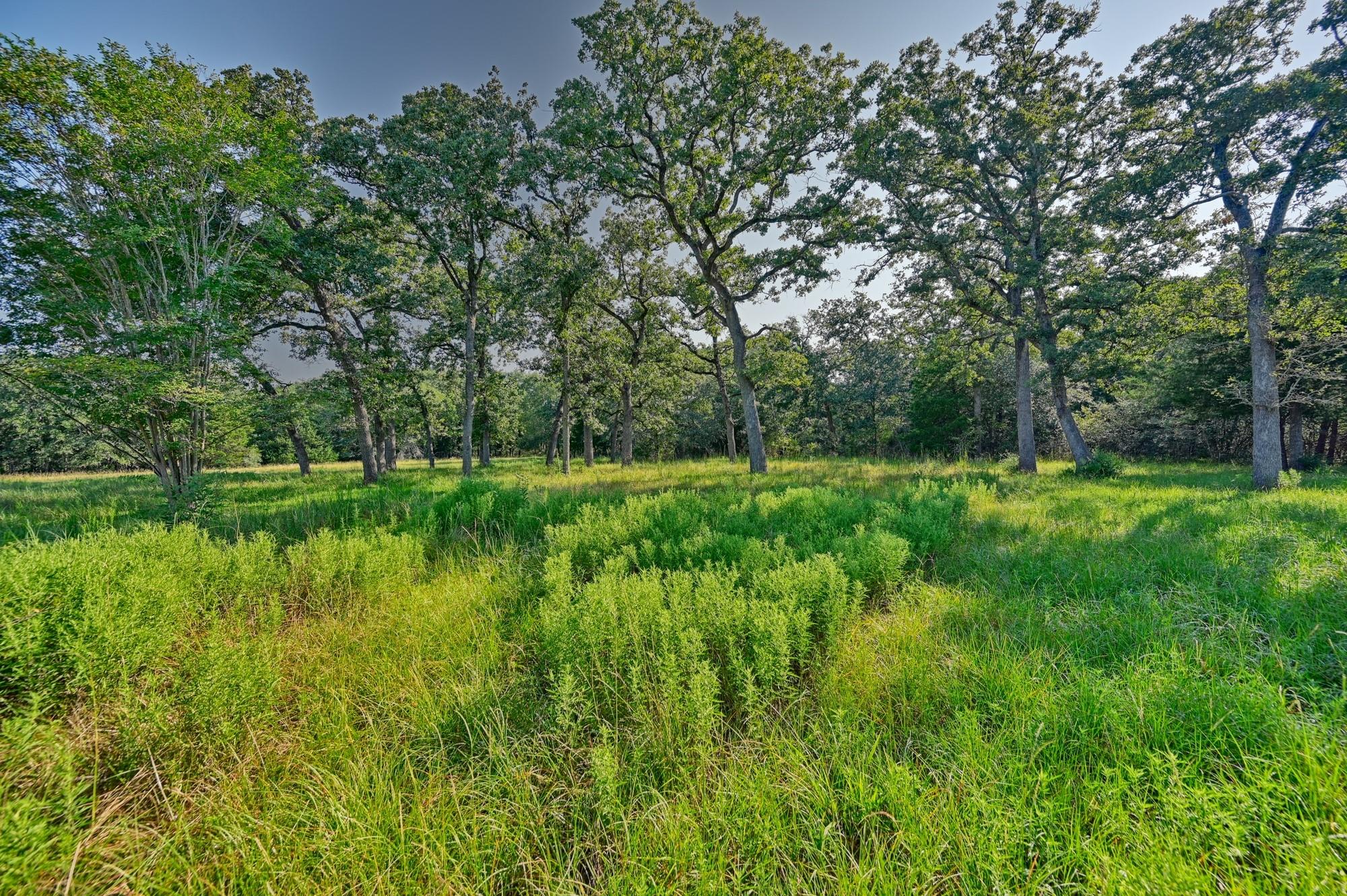 609 Piney Creek Road
