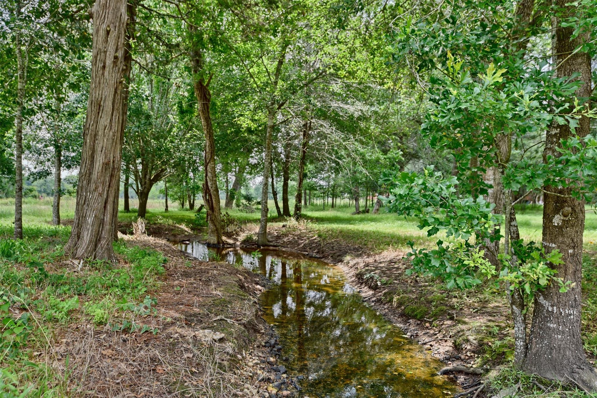 Shallow creek winding through a wooded property beneath mature leafy trees.