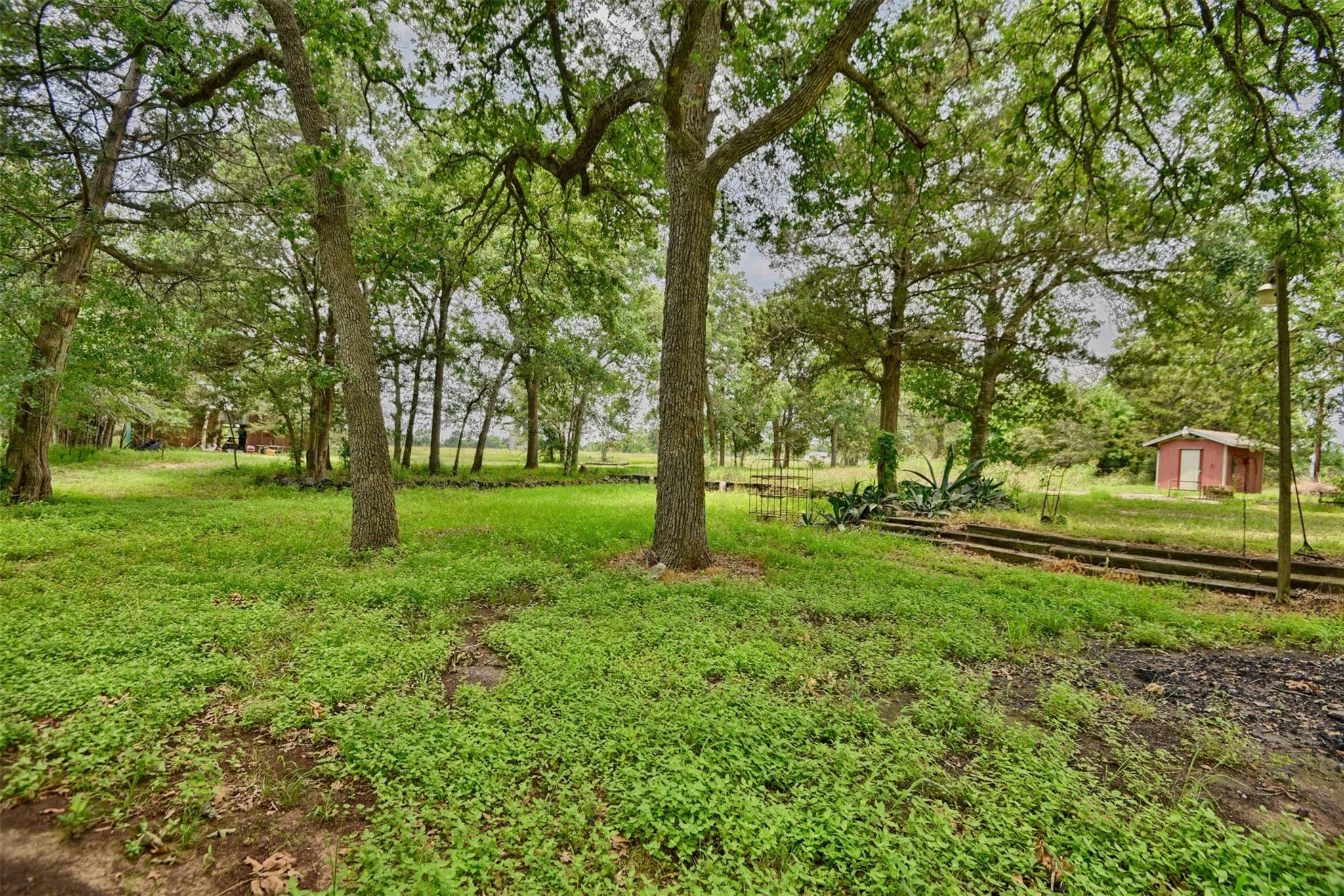 Wooded backyard with mature trees, garden beds, and a small red shed.