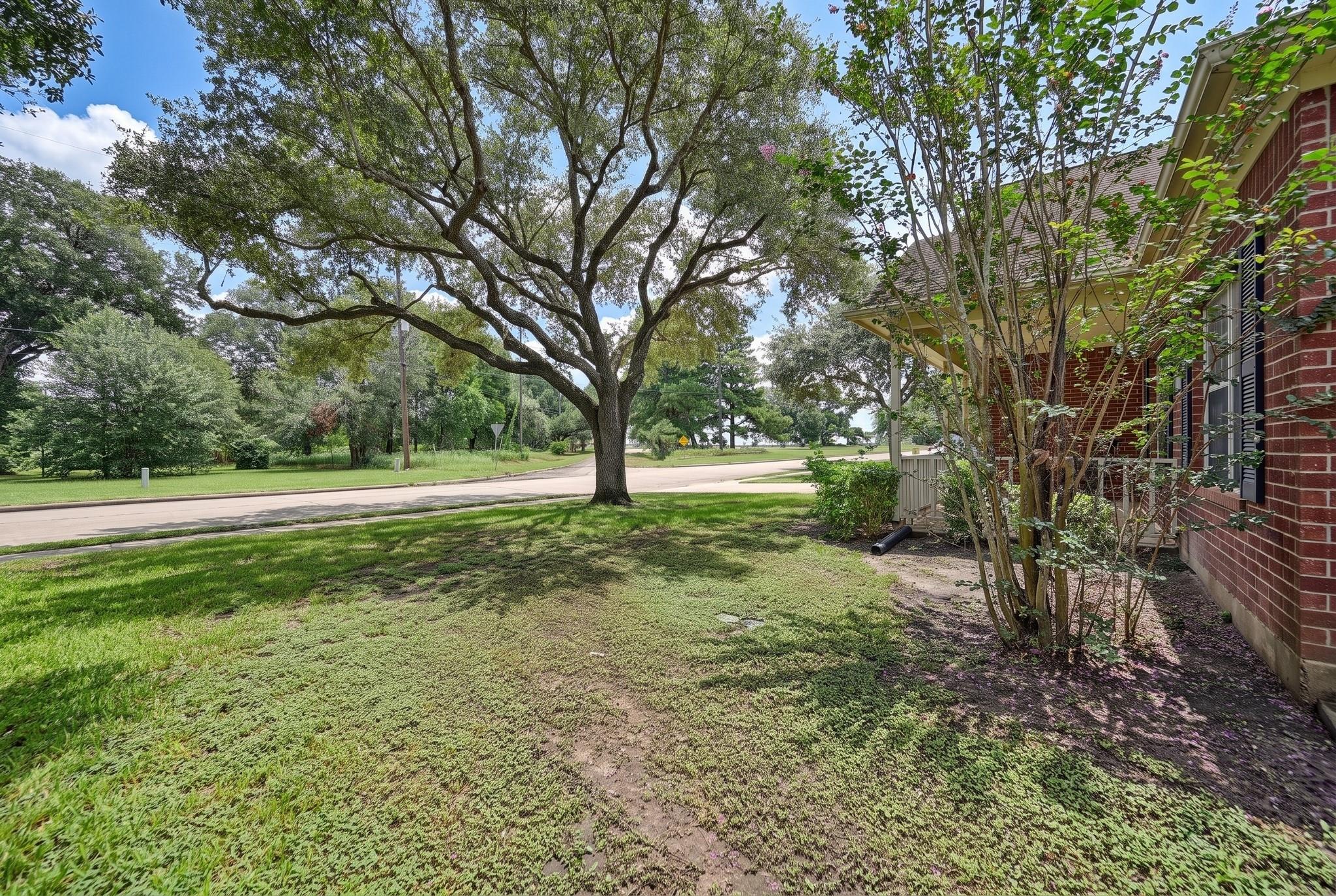 1409 Ward Bend Street