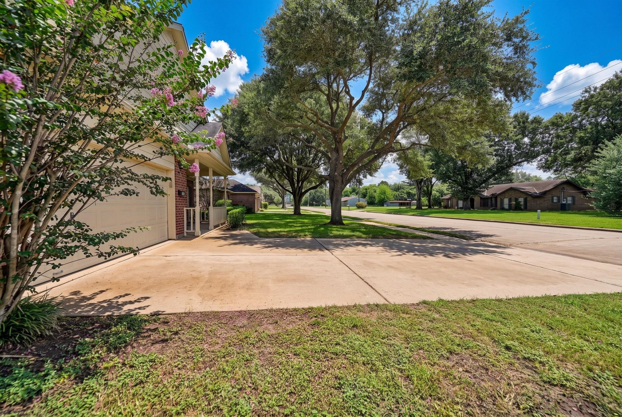 1409 Ward Bend Street