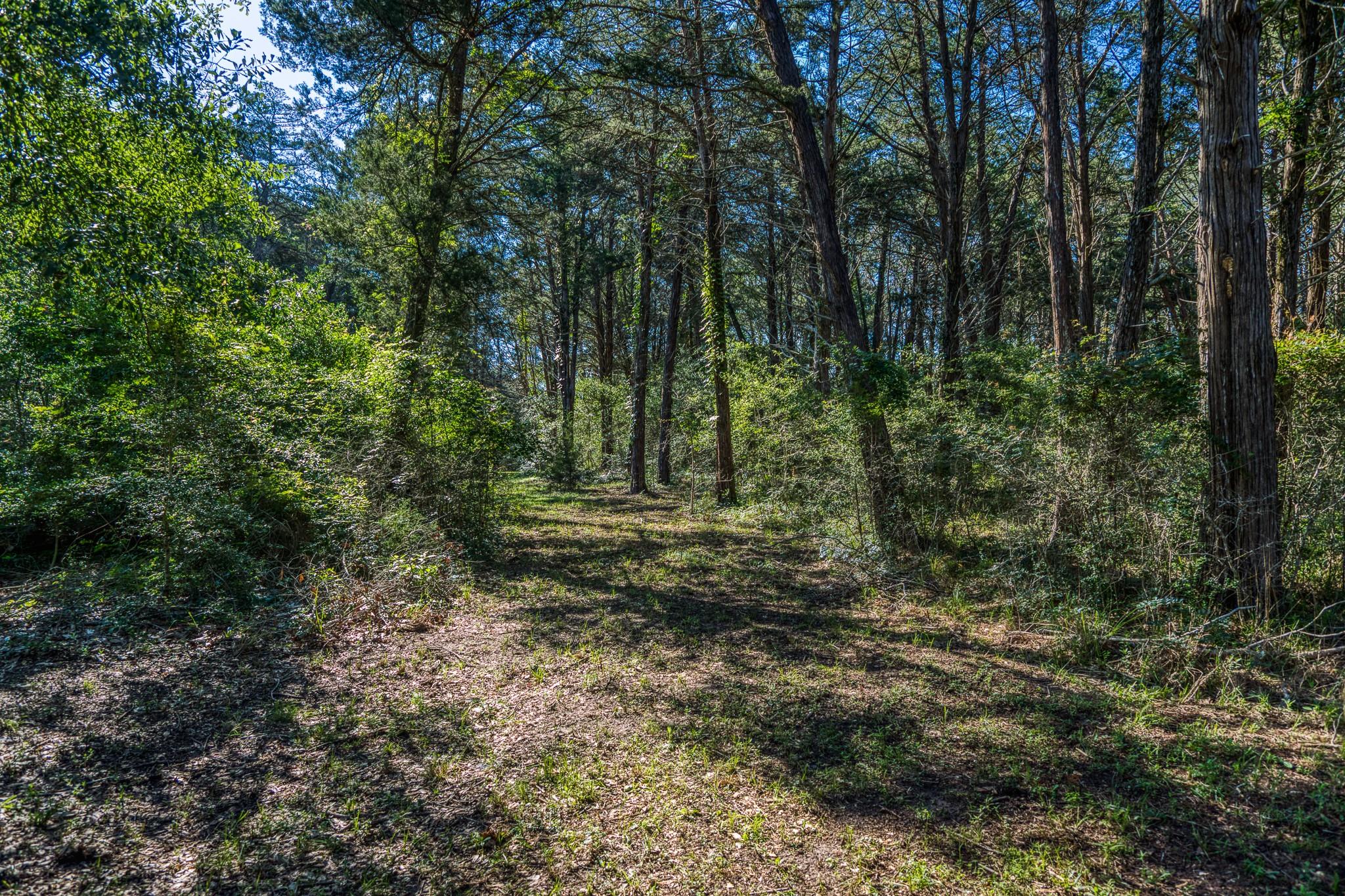 1017 Allen Road