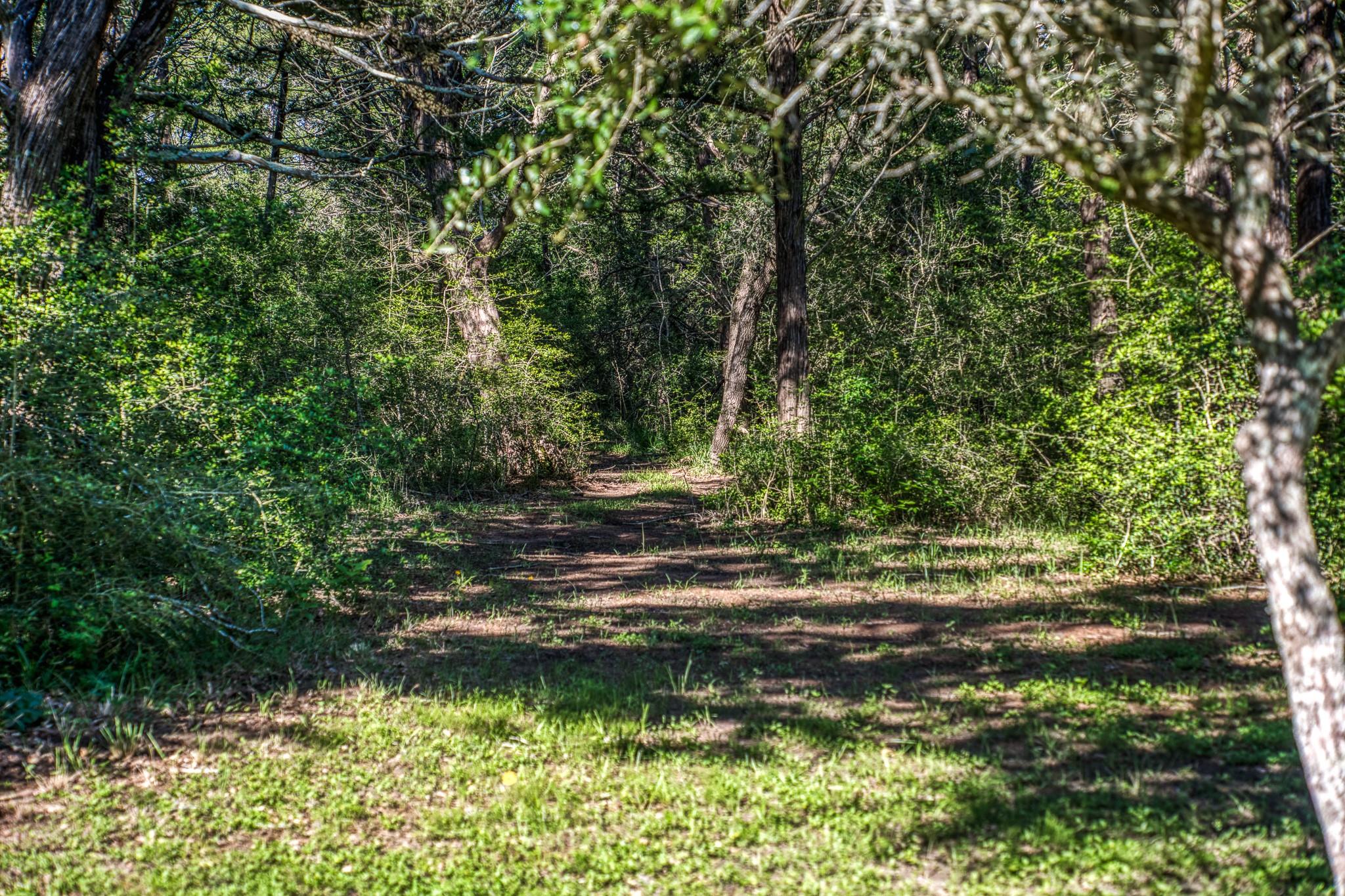 1017 Allen Road