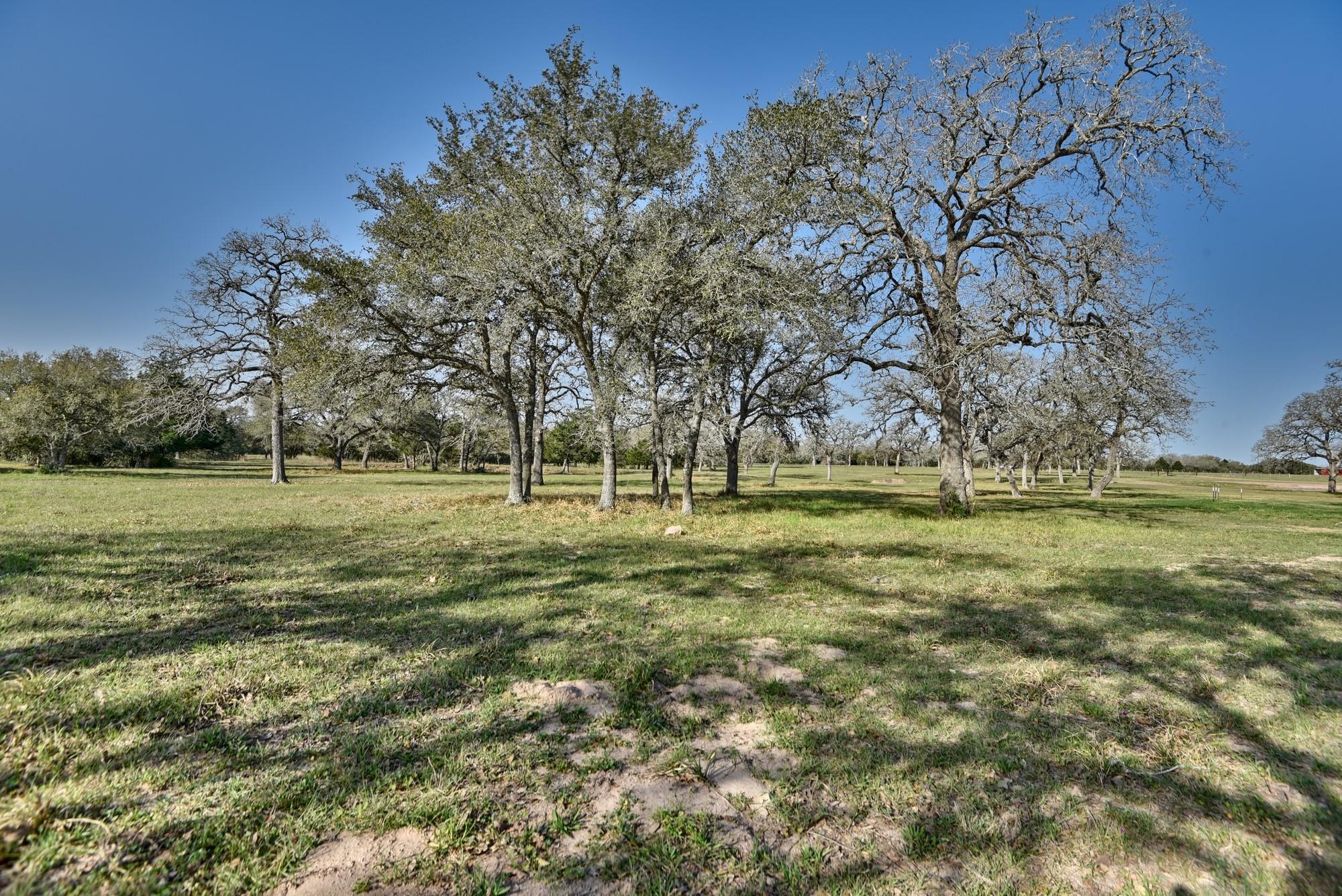 225 Private Road 4007