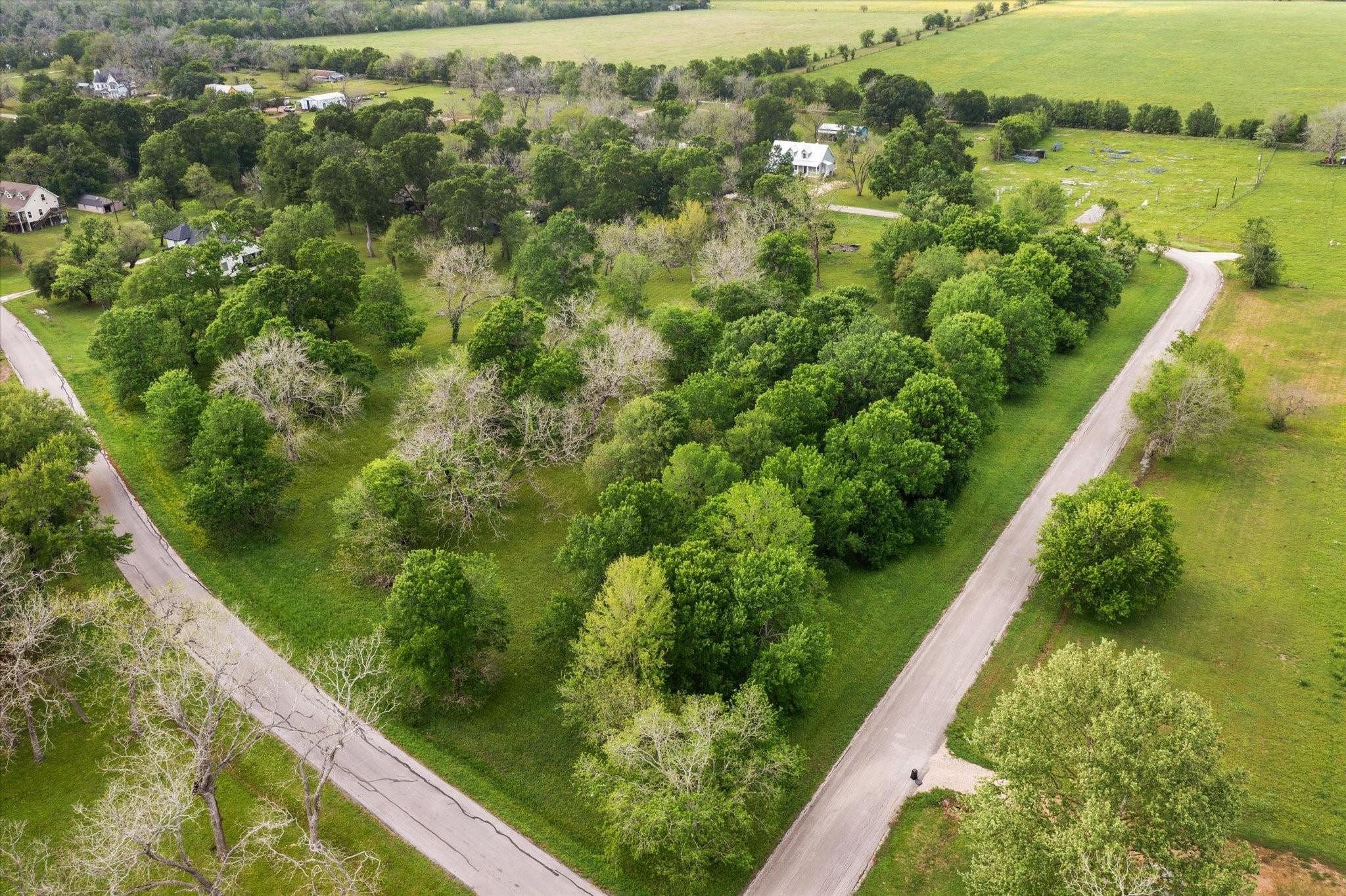 000 Custer Road