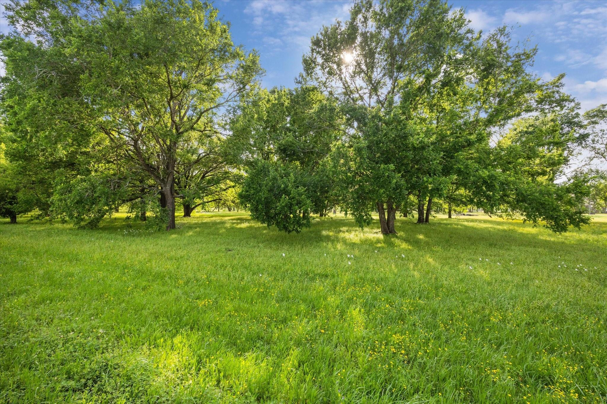 000 Custer Road