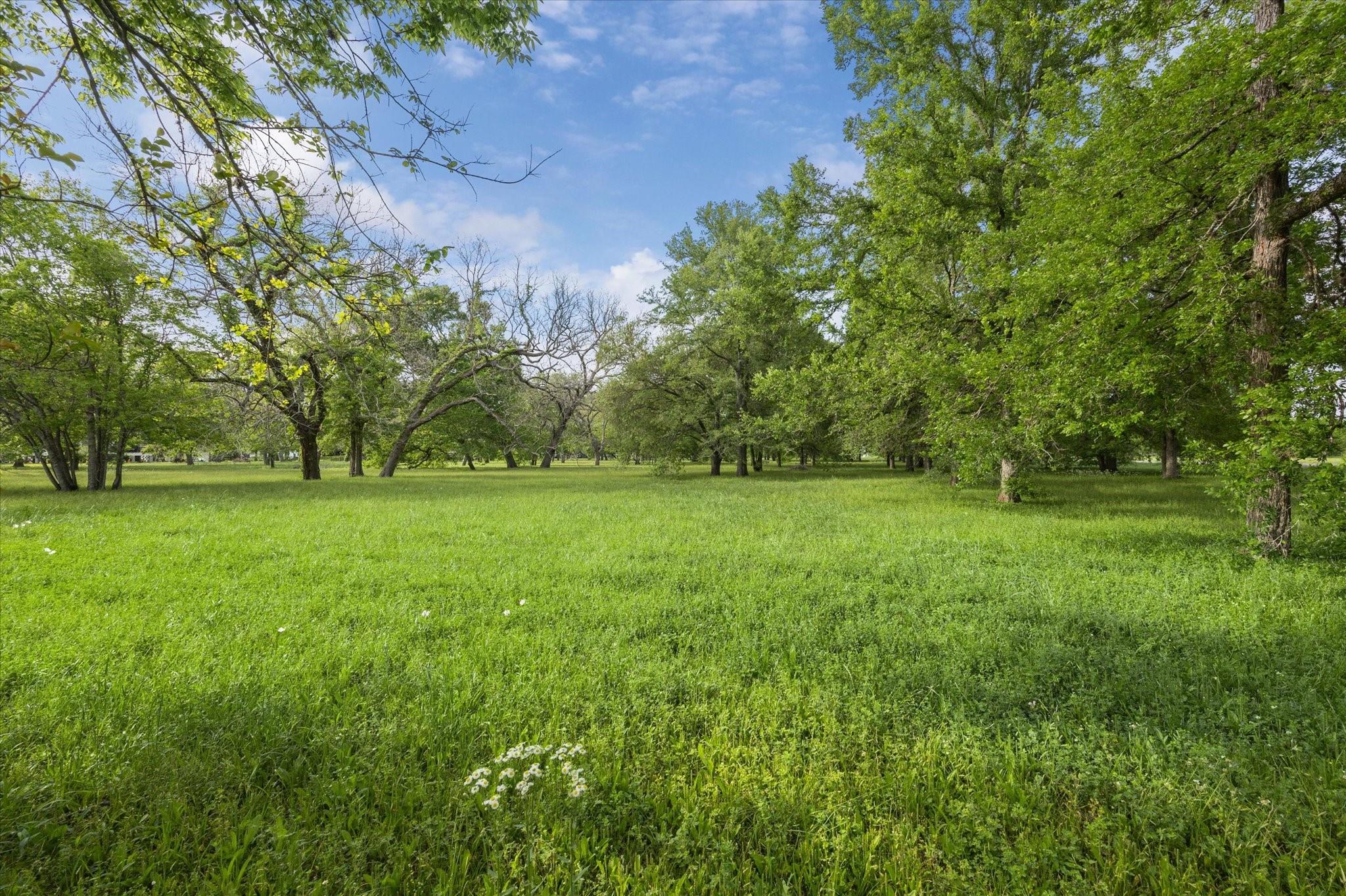 000 Custer Road