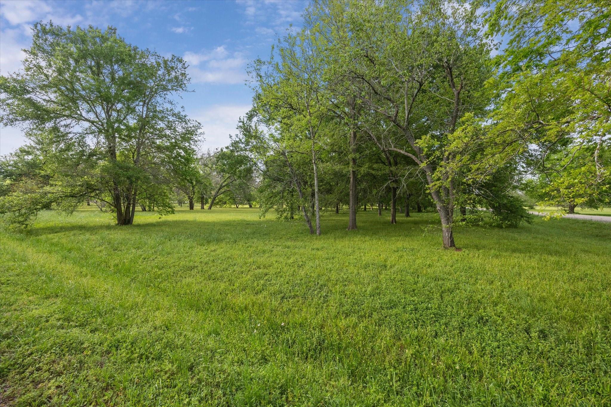 000 Custer Road