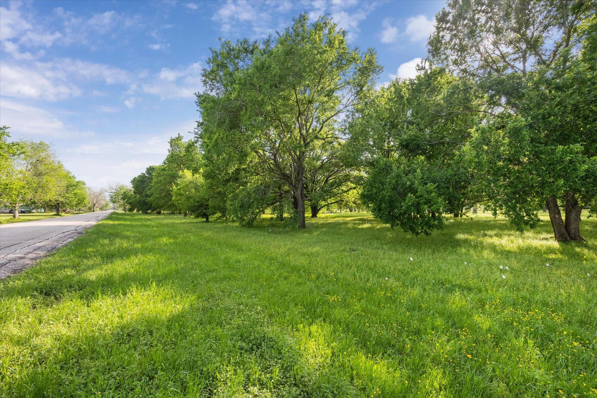 000 Custer Road