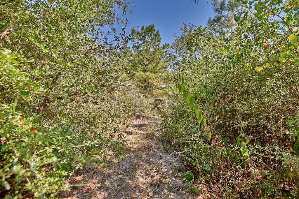 28850 Riley Road