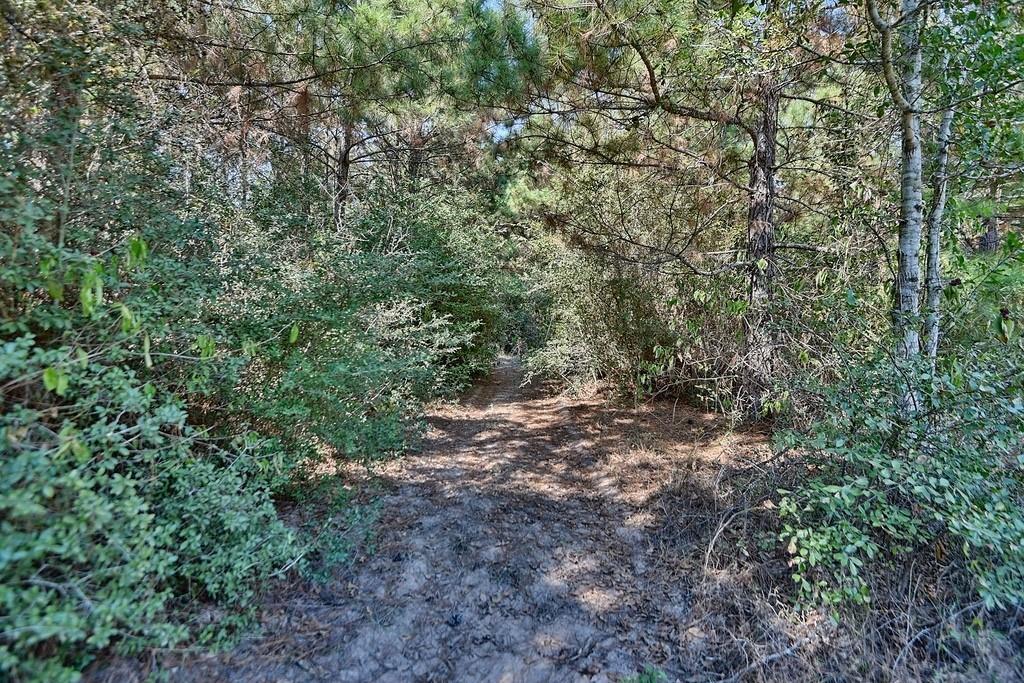 28850 Riley Road