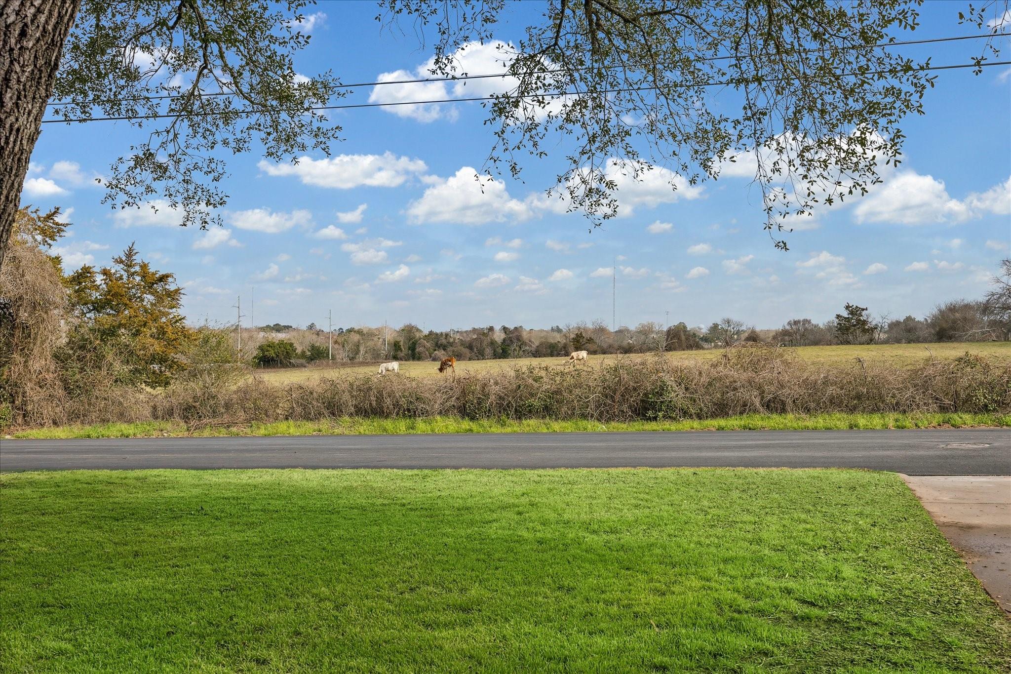 313 W Nichols Street