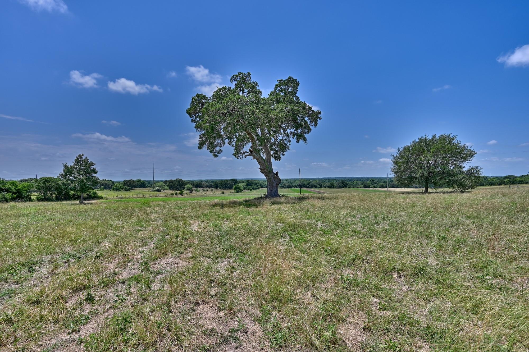 6238 Kovar Road