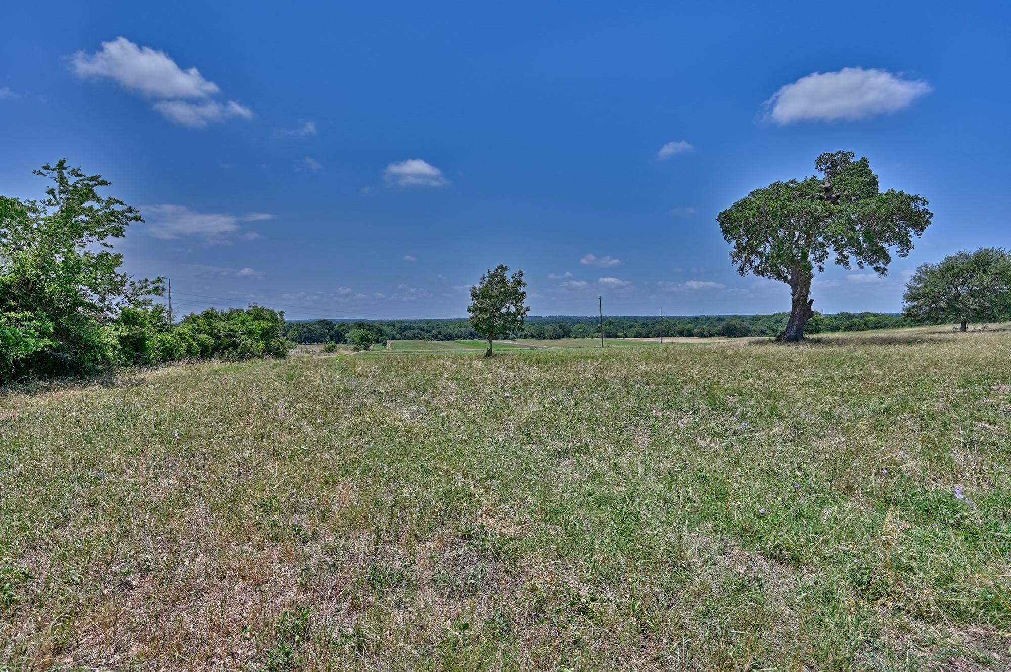 6238 Kovar Road
