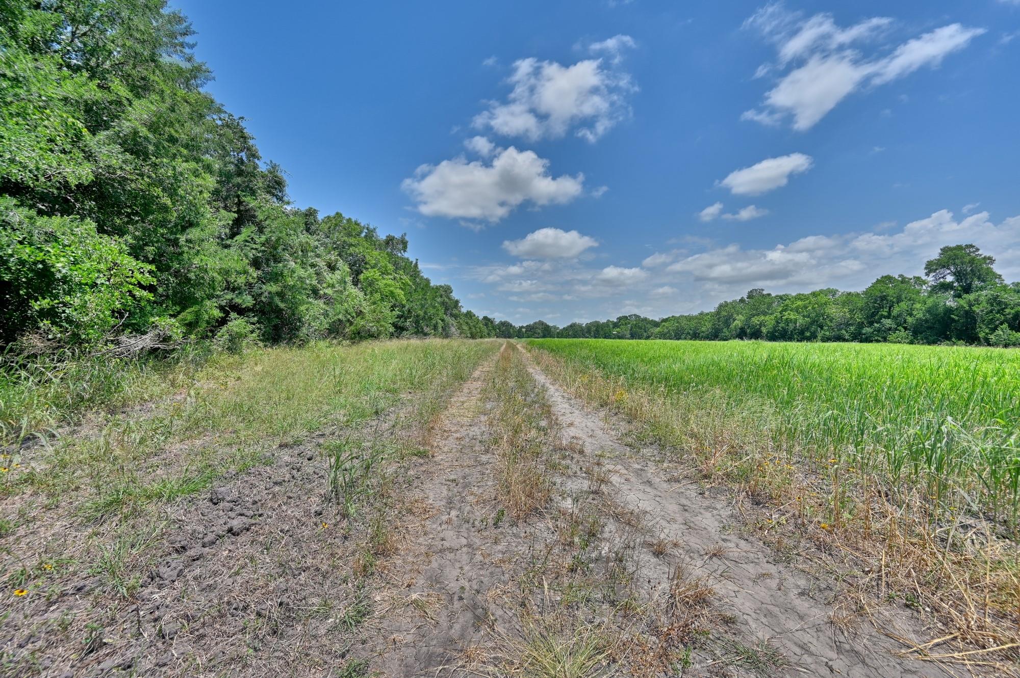 6238 Kovar Road