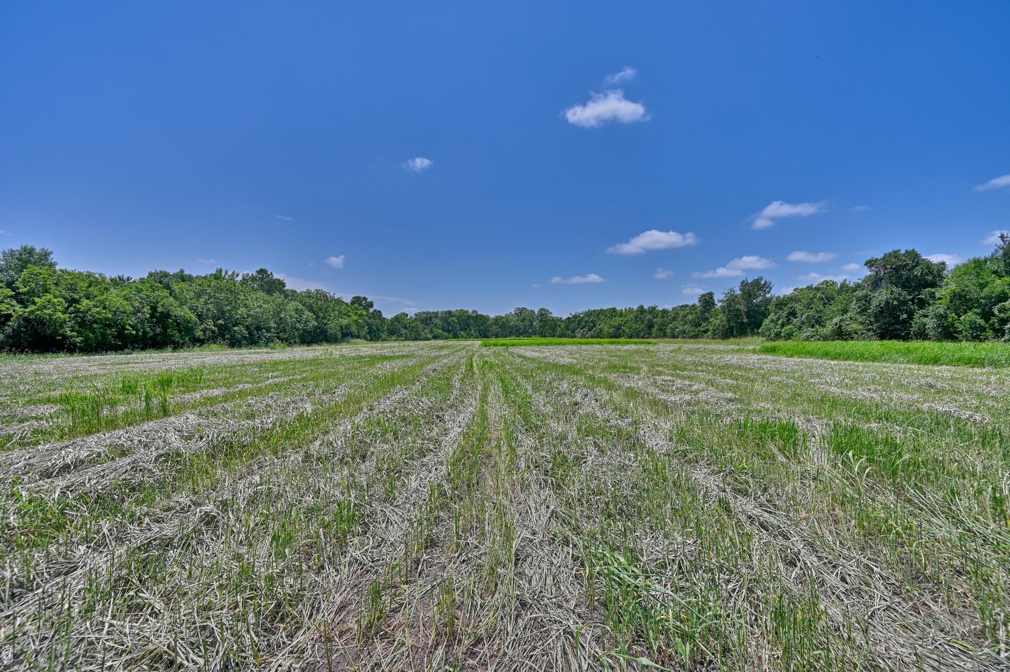 6238 Kovar Road