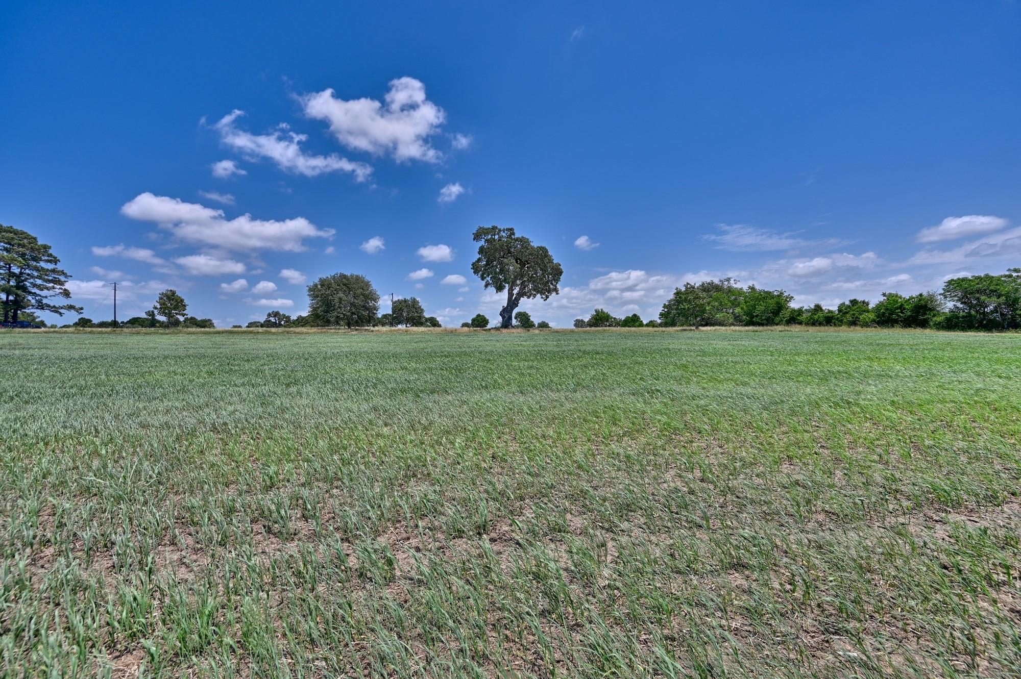 6238 Kovar Road