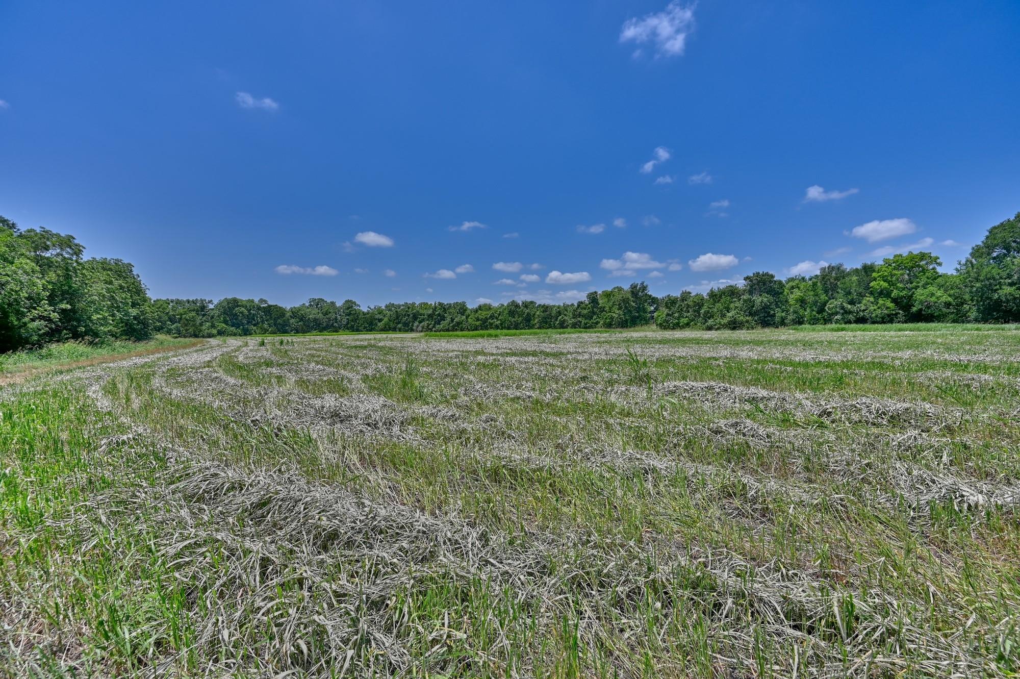 6238 Kovar Road