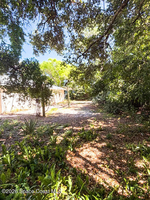 423 Oleander Lane