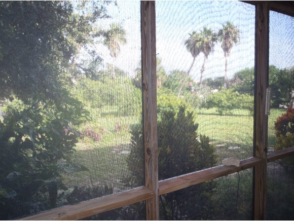 5230 Palm
