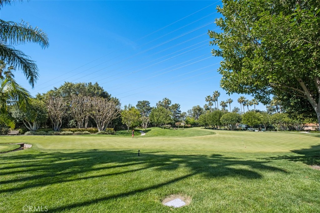 21584 Marana