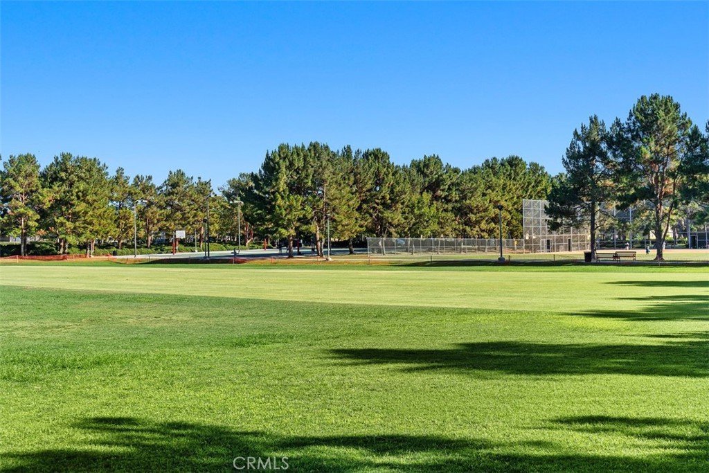 80 Great Lawn