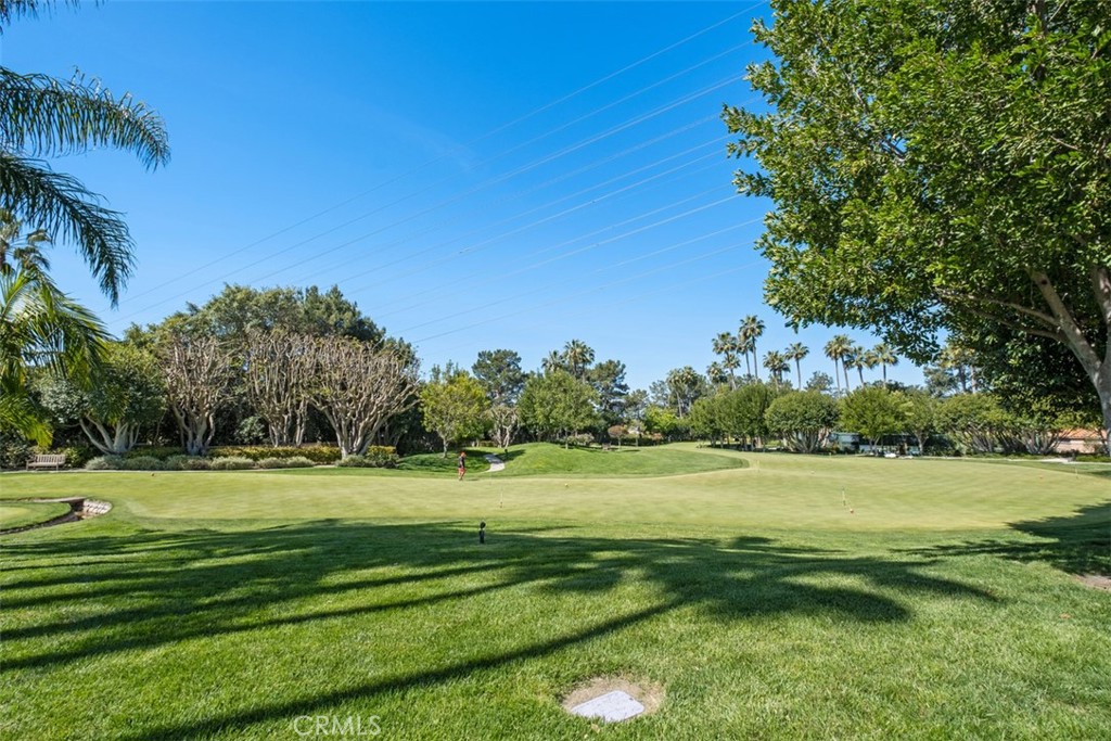 21584 Marana