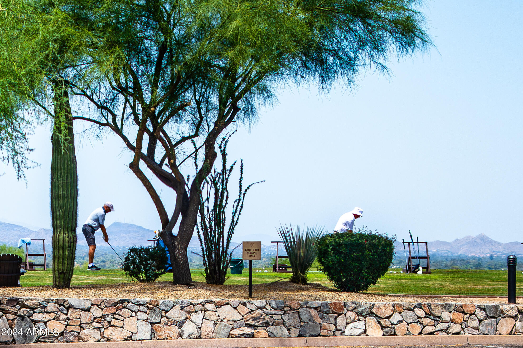 11706 E DREYFUS Avenue # 135