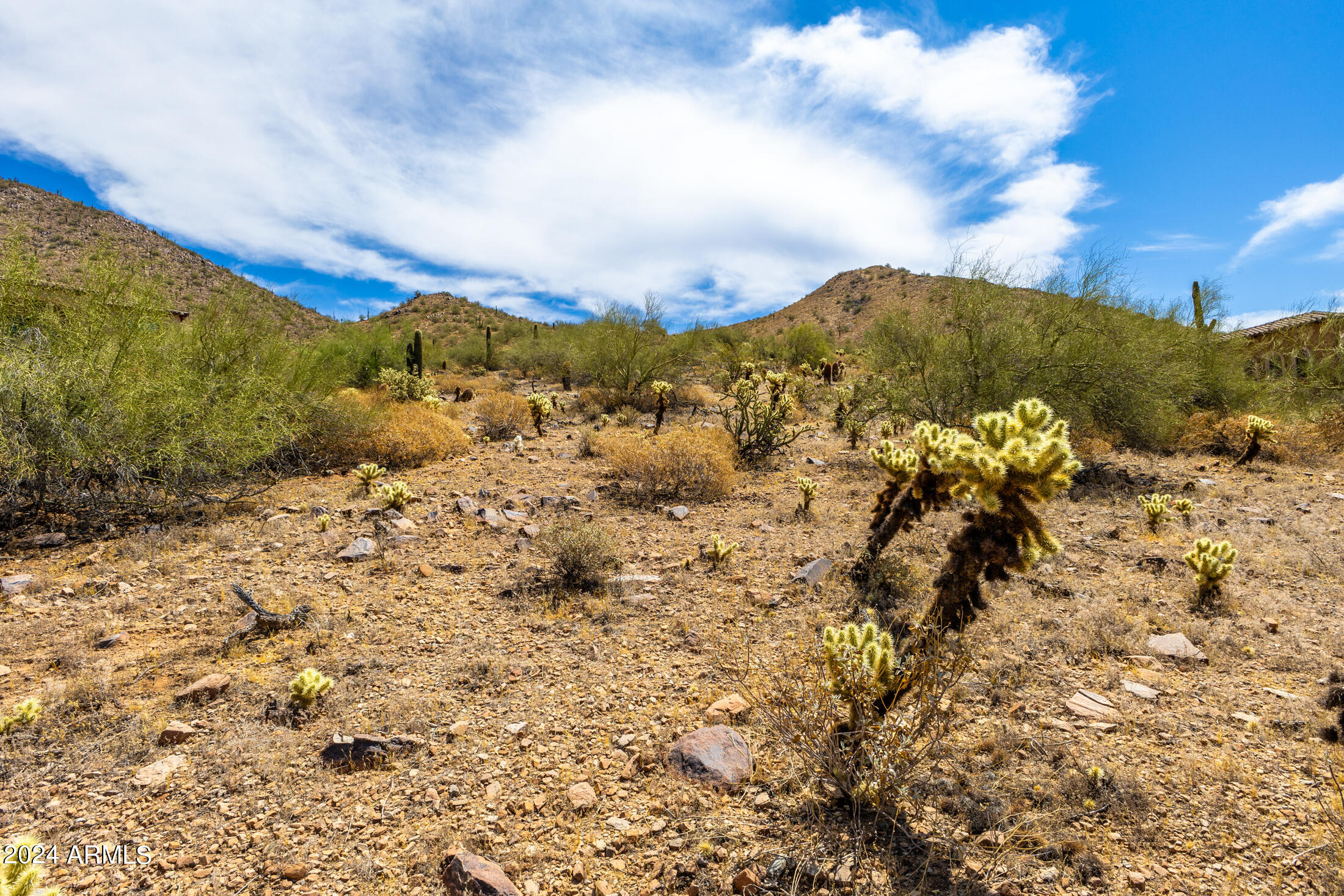 11706 E DREYFUS Avenue # 135