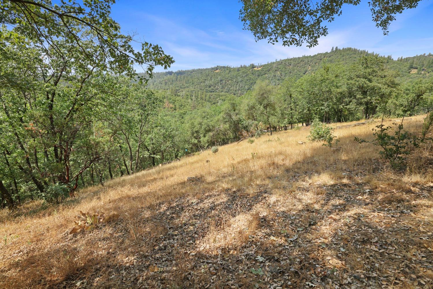 16255 Valley Bottom Rd