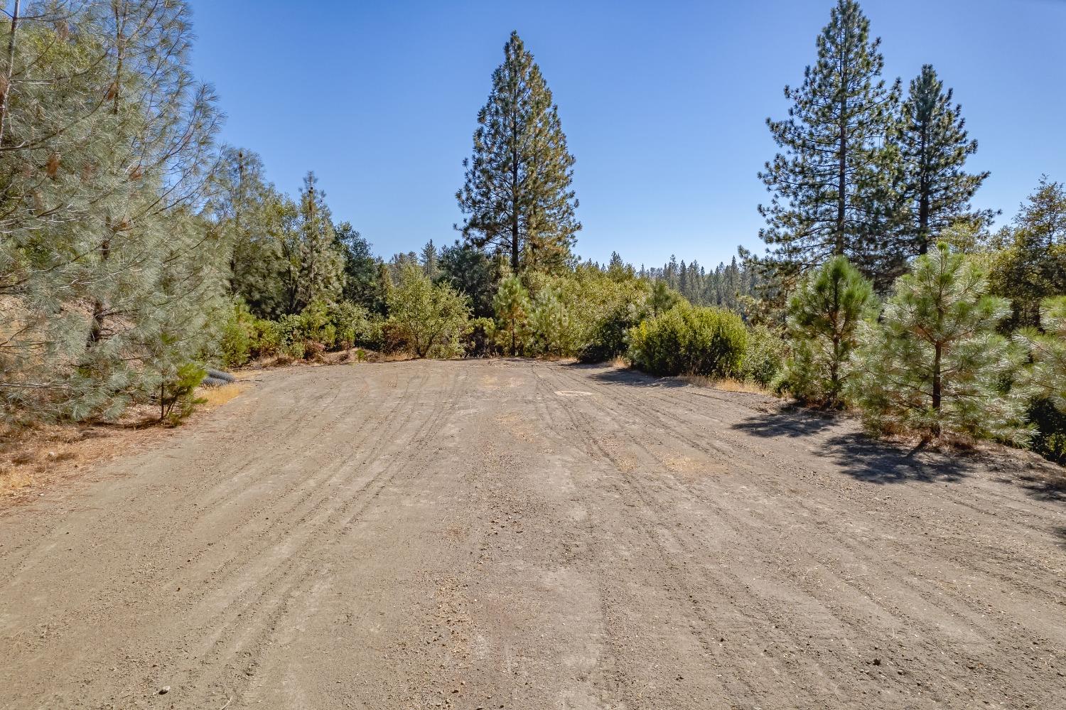 16531 Fiddletown Rd.