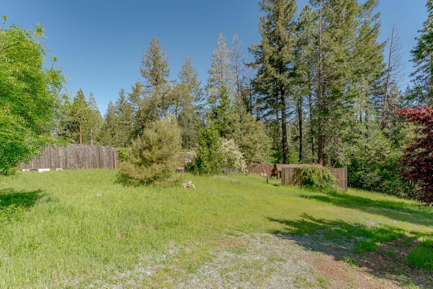 21891 Allan Road