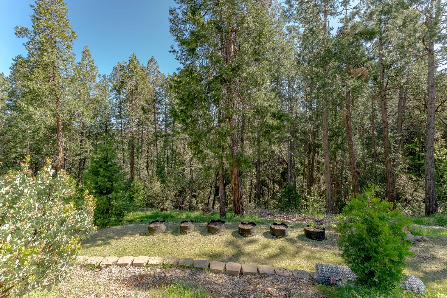 21891 Allan Road